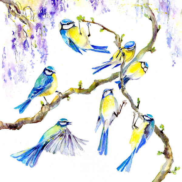 Garden Blue Tits Bird Artist Painted watercolour image by sheila gill Greeting Card