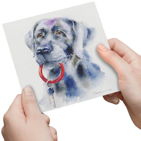 Black Labrador Greeting Card designed by artist Sheila Gill