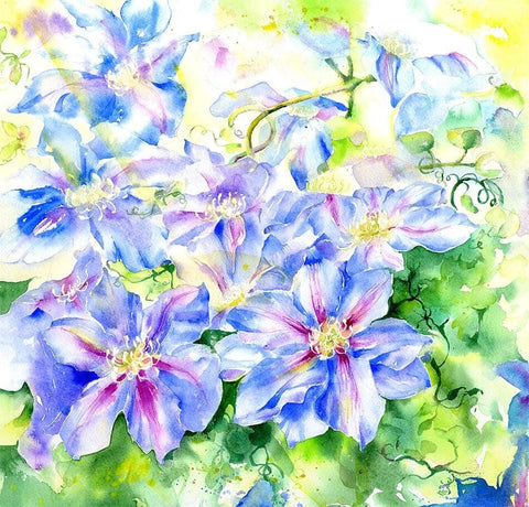 Blue Clematis - Flower Art Picture Watercolour painted by artist Sheila Gill
