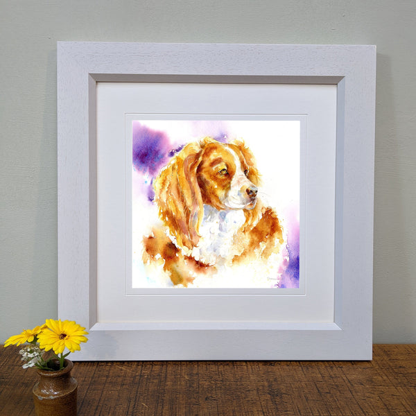 Brown and White Spaniel Dog Art Print designed by artist Sheila Gill
