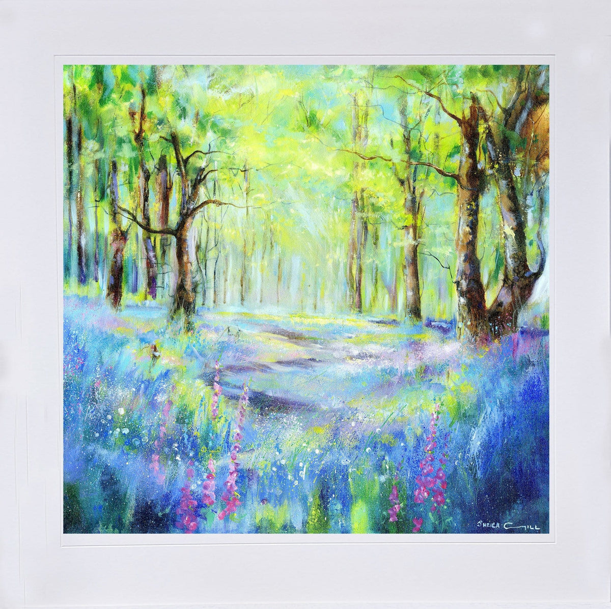 Enchanted Bluebell Wood Art Print Sheila Gill