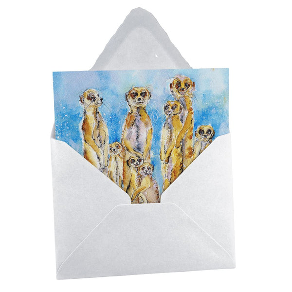 Meerkat Card