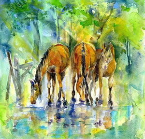New Forest Ponies Art Print designed by artist Sheila Gill
