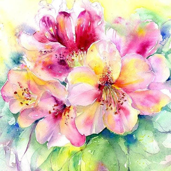 Rhododendron Flower Card Sheila Gill Fine Art 