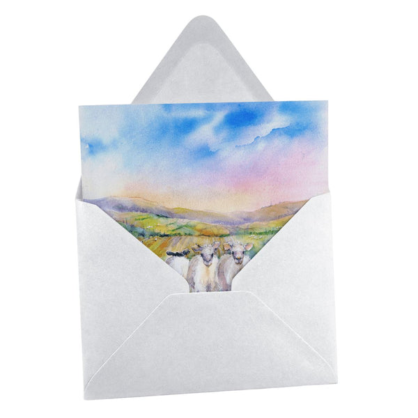 Sheep Greeting Card designed by artist Sheila Gill
