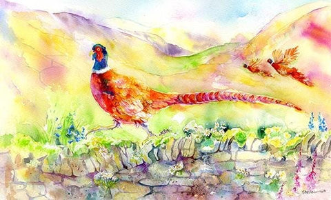 Wild Pheasant Art Picture Watercolour painted by artist Sheila Gill

