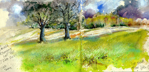 Discovering the Beauty of Snowy Derbyshire through Sketching Trees
