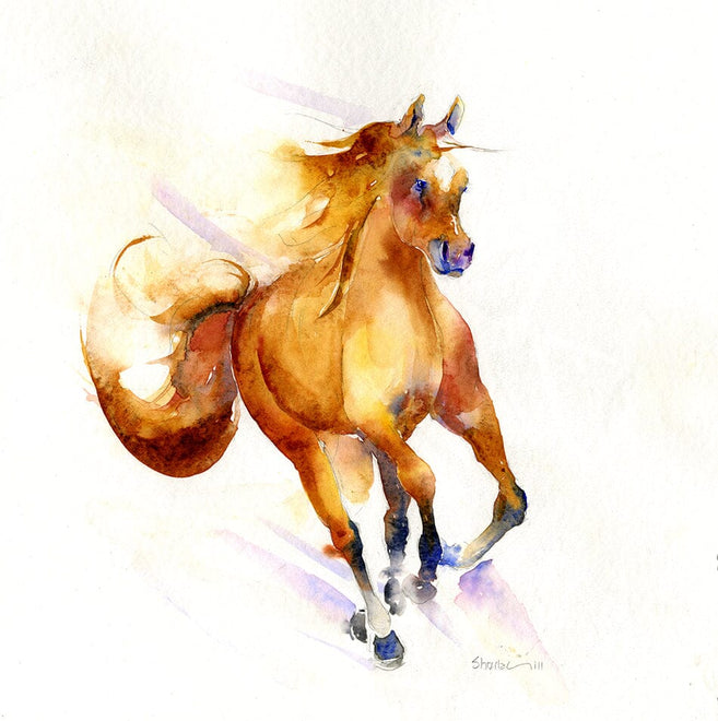Horse Greeting Cards