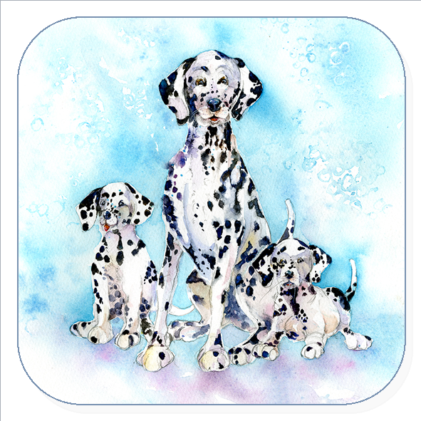 Dalmatian Dogs and puppies drinks coast