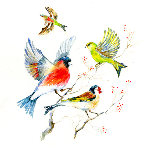 Garden Finches Birds watercolour painted image by sheila gill Greeting Card