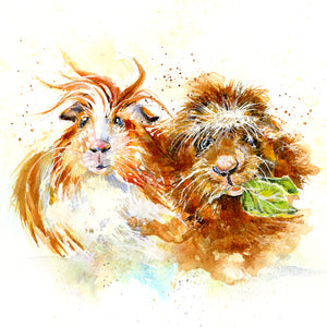 Charming pet Guinea Pig Art Card. Artist painted watercolour design by sheila gill