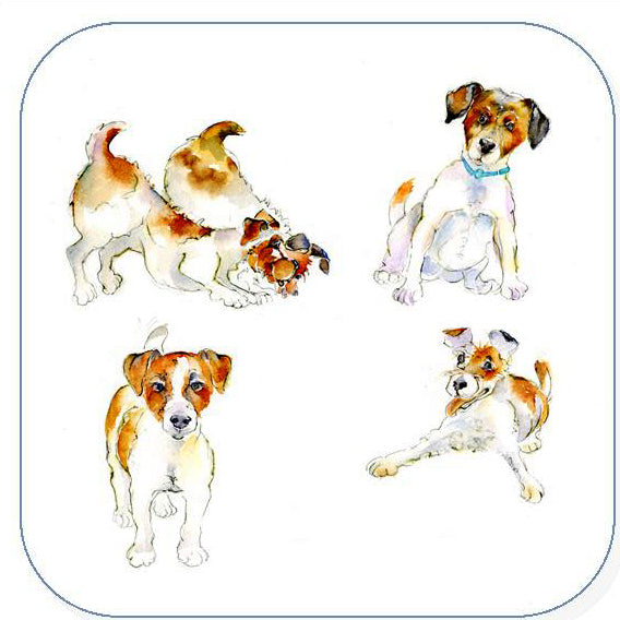 Brown and White Jack Russell Terrier Dog Drinks coaster