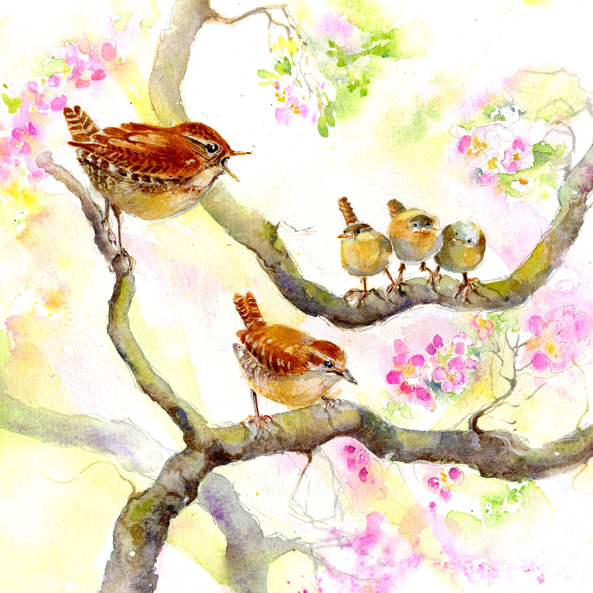 Tiny Jenny Wren Garden birds Watercolour artist painted design by sheila gill Greeting Card