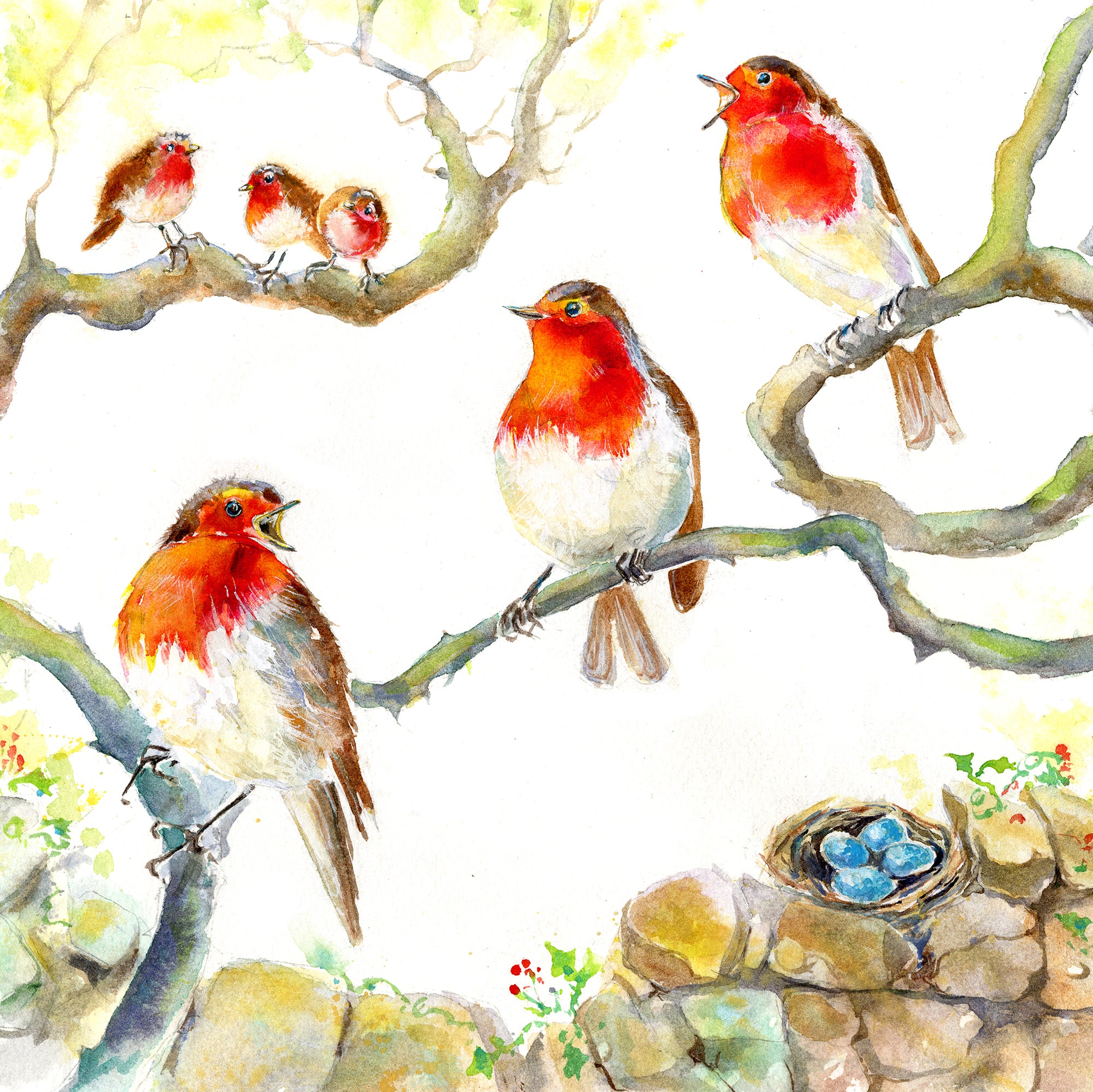 Robin Garden song Bird Greeting Cards Artist Watercolour painted design by sheila gill