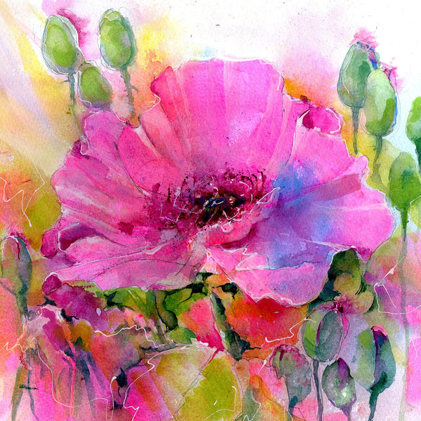 Pink Poppy Floral Art Print Watercolour painting designed by artist Sheila Gill
