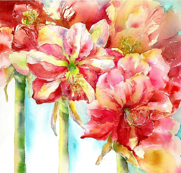 Amaryllis - Flower Floral Art Picture Watercolour painted by artist Sheila Gill
