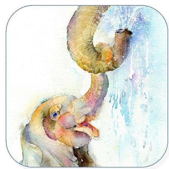 Baby Elephant Coaster Sheila Gill Fine Art