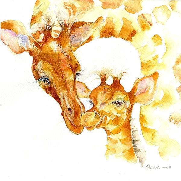 Baby Giraffe Wild african animal Art Picture watercolour painted by artist Sheila Gill
