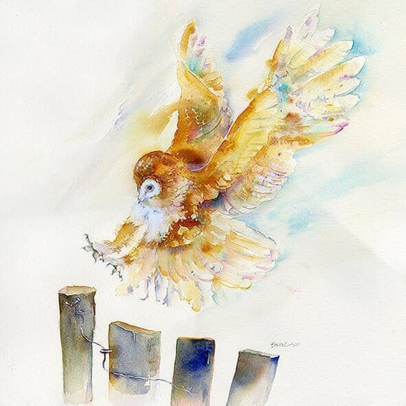 Barn Owl Greeting Card designed by artist Sheila Gill