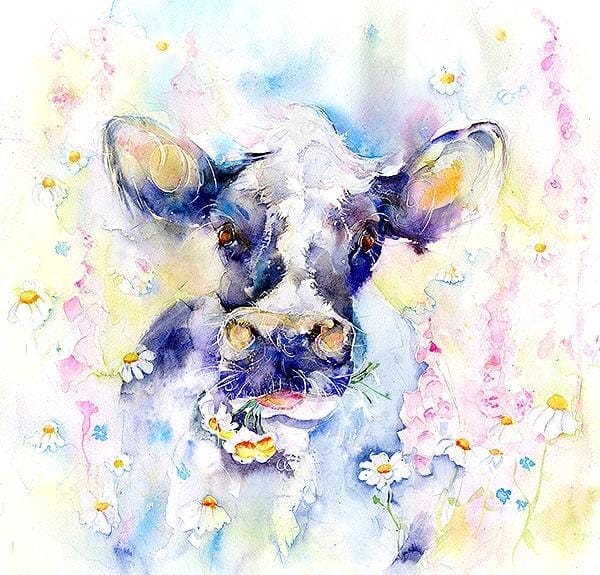 Black and White Cow Daisy Art Picture watercolour painted by artist Sheila Gill
