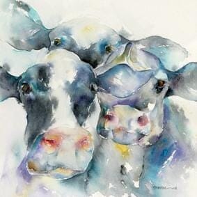 Black and White Cows Farmyard animal Art Picture watercolour  painting by artist Sheila Gill
