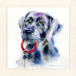 Black Labrador Dog Art Print designed by artist Sheila Gill