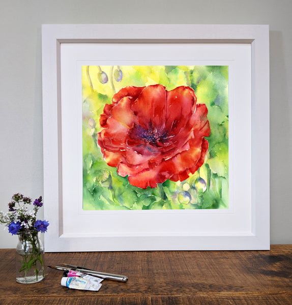 Red Poppy Framed Art Picture Office or home decoration designed by artist Sheila Gill