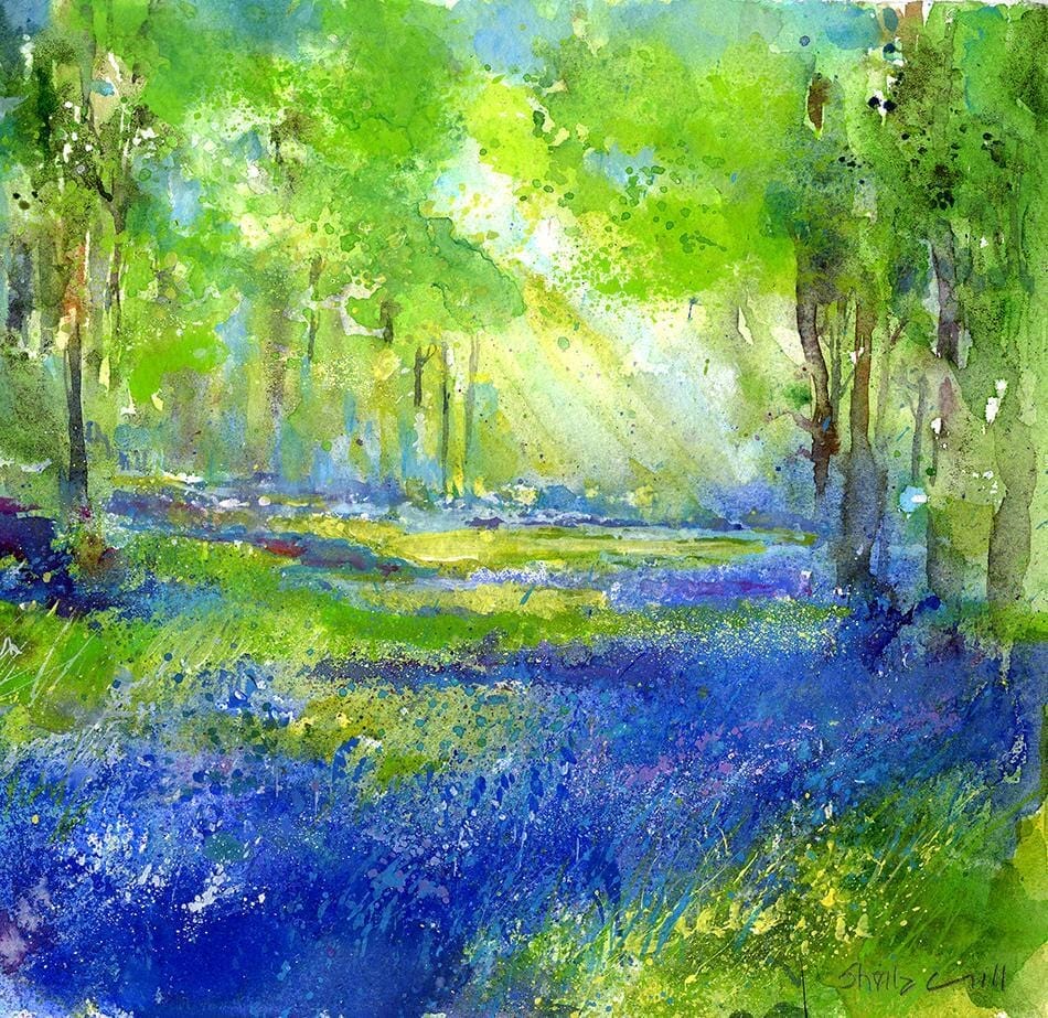 Bluebell Woods Greeting Card designed by artist Sheila Gill
