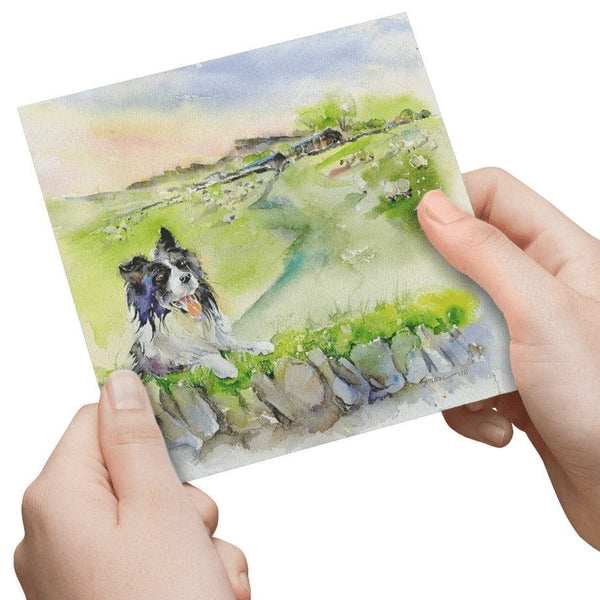 Border Collie Dog Greeting Card designed by artist Sheila Gill