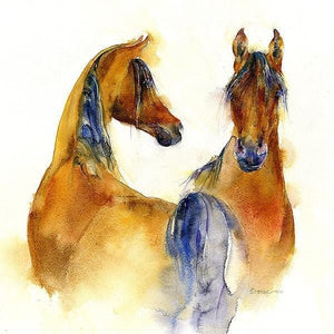 Brown Arabian Horse Art Print designed by artist Sheila Gill
