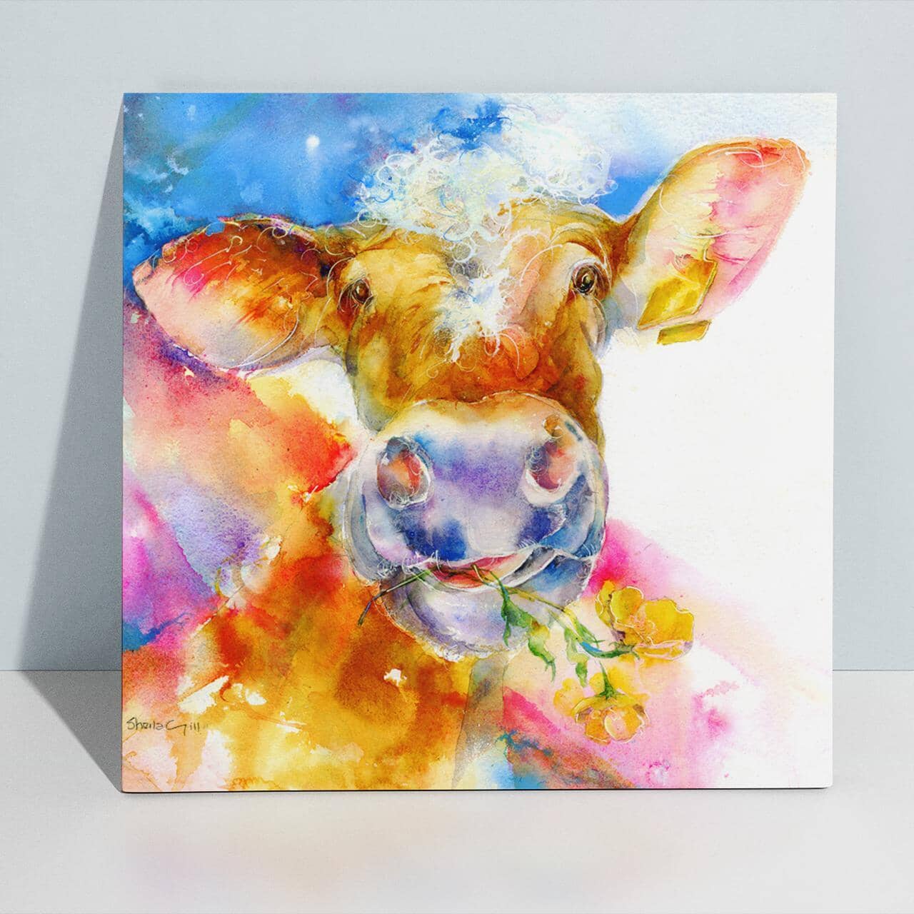Buttercup the Cow - Brown and White Cow Canvas Art Print designed by artist Sheila Gill
