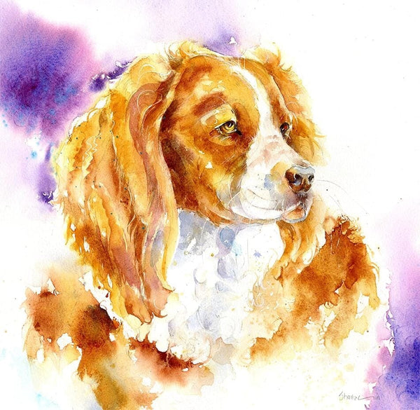 Brown and White Spaniel Dog Art Print designed by artist Sheila Gill
