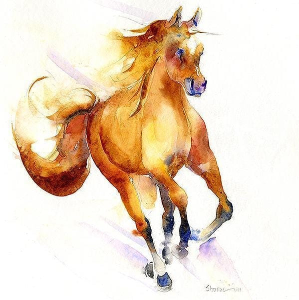 Chestnut Pony Greeting Card designed by artist Sheila Gill