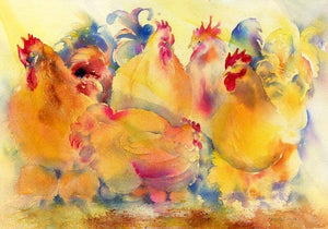 Cochin Chickens farmyard animal Art Picture Watercolour painted by artist Sheila Gill
