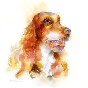 Cocker Spaniel Dog Card Sheila Gill Fine Art