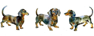 Dachshund Dog Art Print designed by artist Sheila Gill
