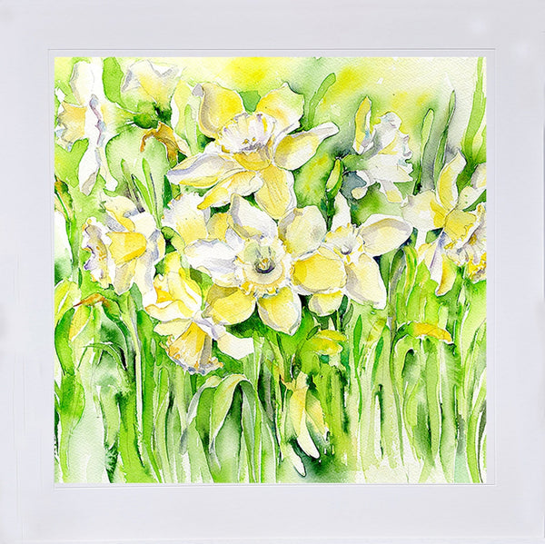 Daffodils - Flower Art Picture for home decoration designed by artist Sheila Gill