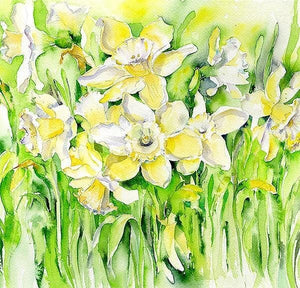 Daffodils - Flower Contemporary floral Art Picture Watercolour painted by artist Sheila Gill

