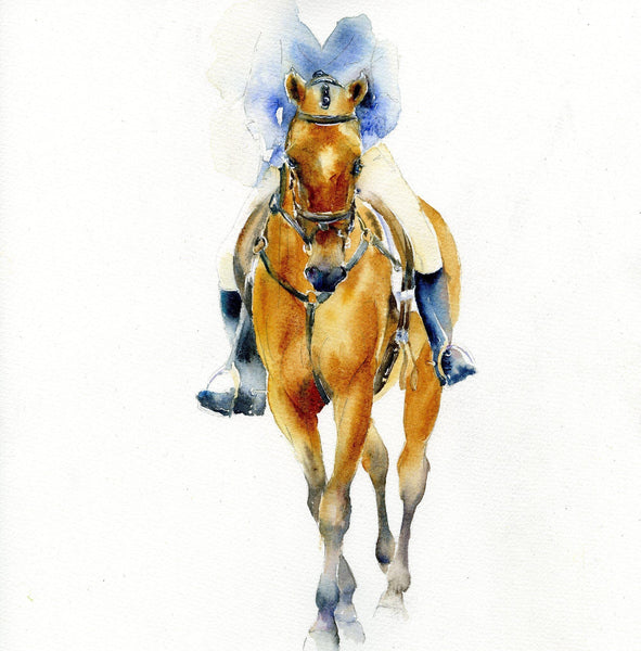 Dressage Horse Eventing Greeting Card designed by artist Sheila Gill