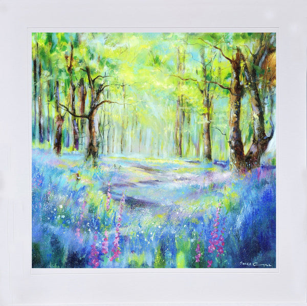 Enchanted Bluebell Wood Mounted ready to frame Art Print designed by artist Sheila Gill
