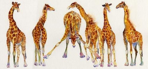 Giraffe Art Picture Watercolour Home decoration painted by artist Sheila Gill
