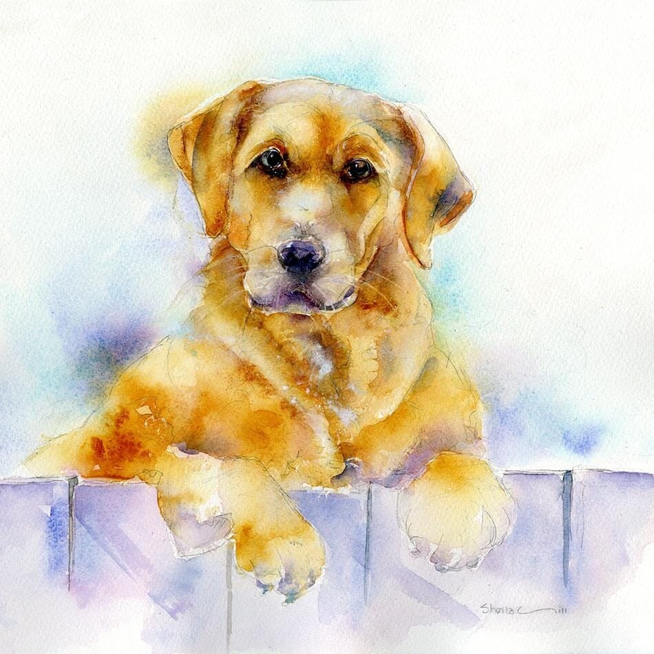 Golden Retriever Dog Art Print designed by artist Sheila Gill
