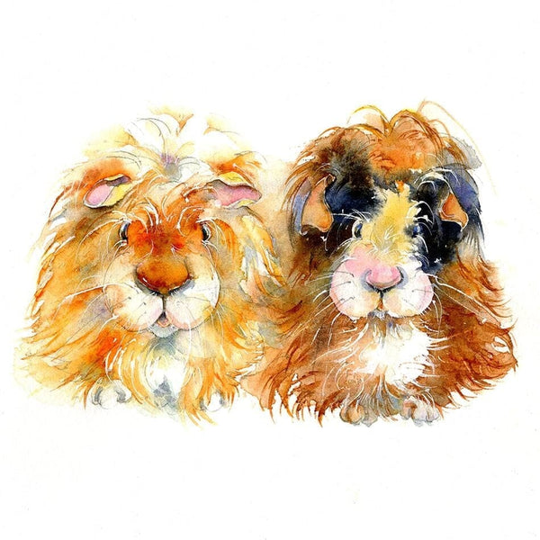 Guinea Pig Art Picture watercolour animal, cute pets painted by artist Sheila Gill
