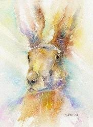 Harry the Hare Art Print designed by artist Sheila Gill
