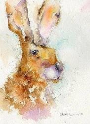 Hare Head Art Print designed by artist Sheila Gill
