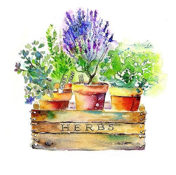 Herb Garden Greeting Card designed by artist Sheila Gill