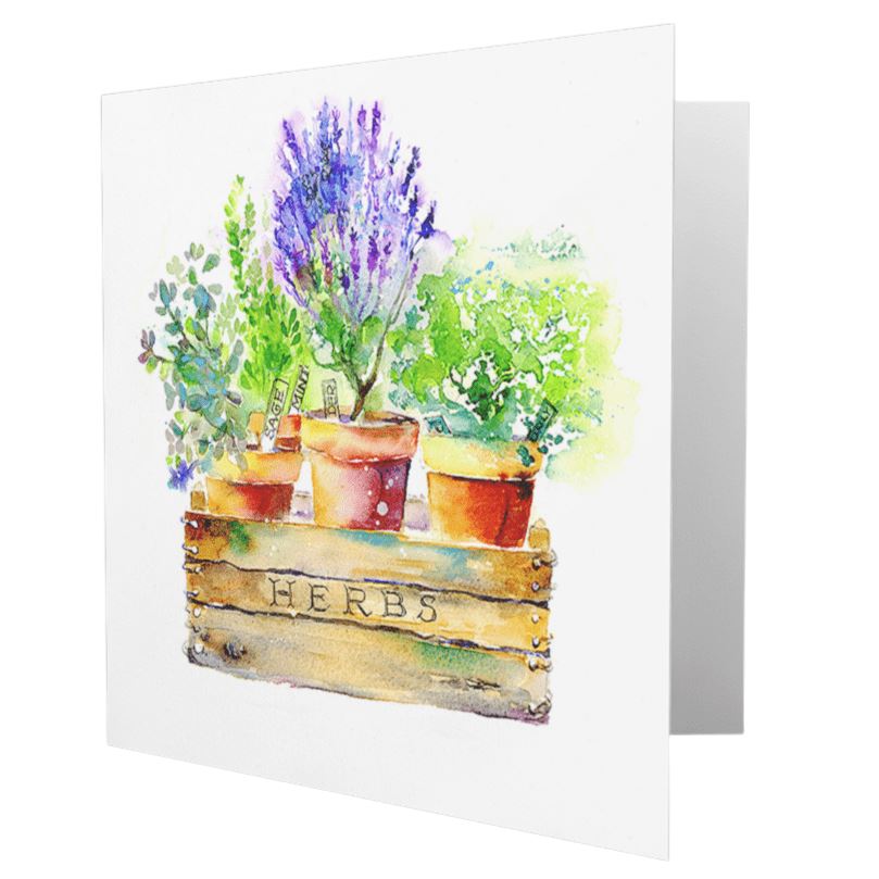 Get Fresh with Our Herb Garden Greeting Card Sheila Gill