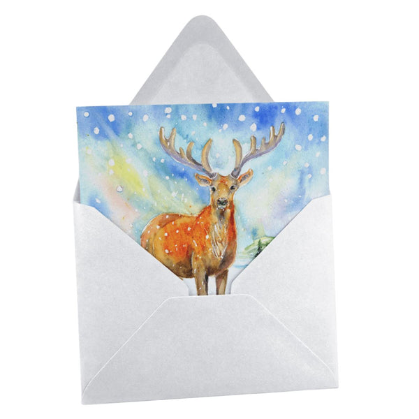 Highland Stag Christmas Card Pack Sheila Gill Fine Art