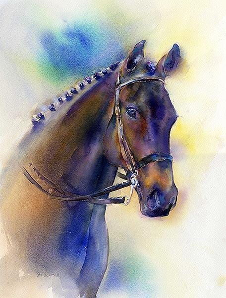 Horse - Good Looking. Sheila Gill Fine Art