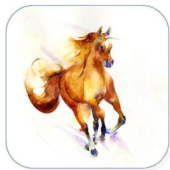 Horse Pony Coaster Sheila Gill Fine Art